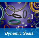 Dynamic Seals